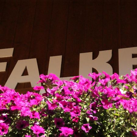 Haus Falke Ζόλντεν Εξωτερικό φωτογραφία